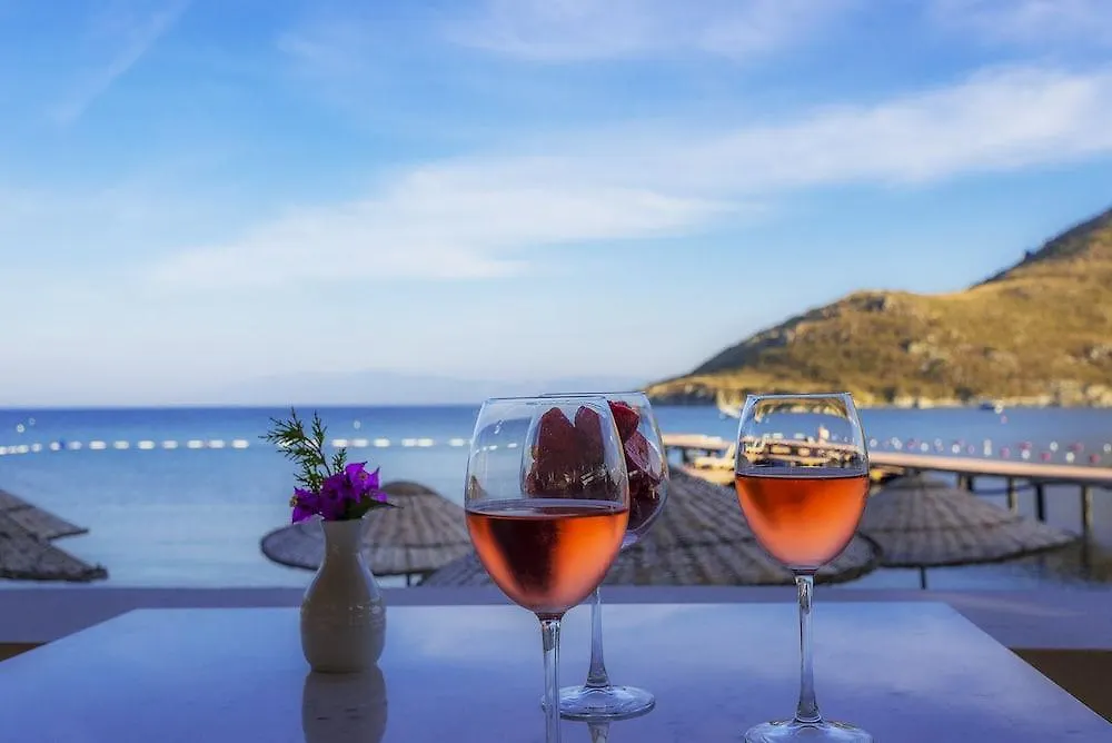 ****  Liv Hotel By Bellazure Akyarlar Τουρκία