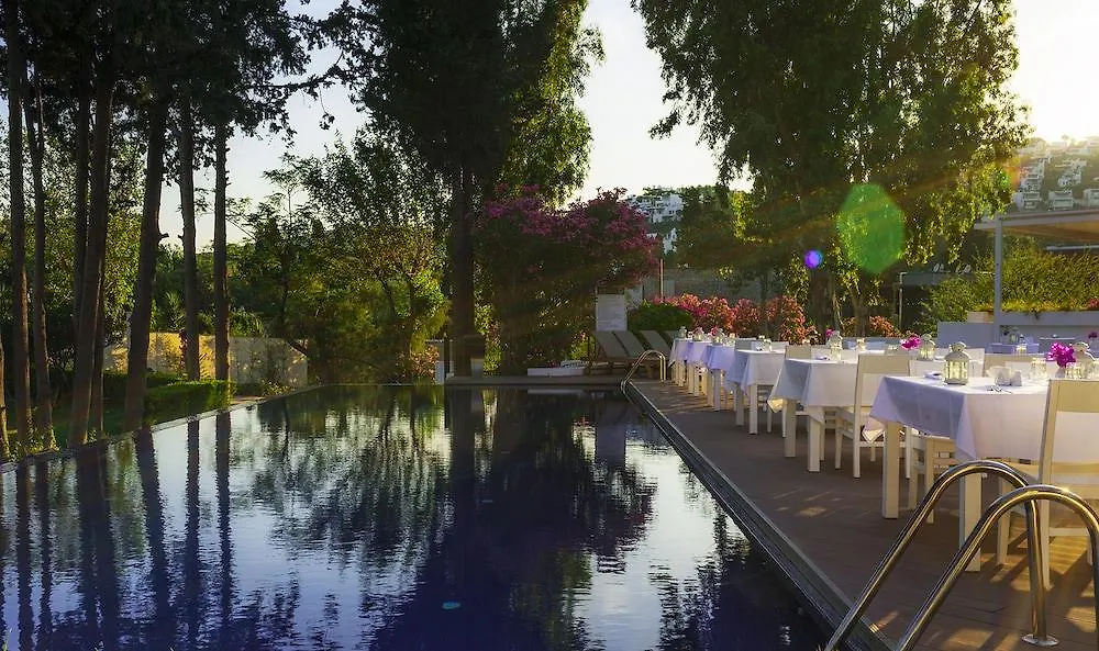 Liv Hotel By Bellazure Akyarlar 4*,  Τουρκία